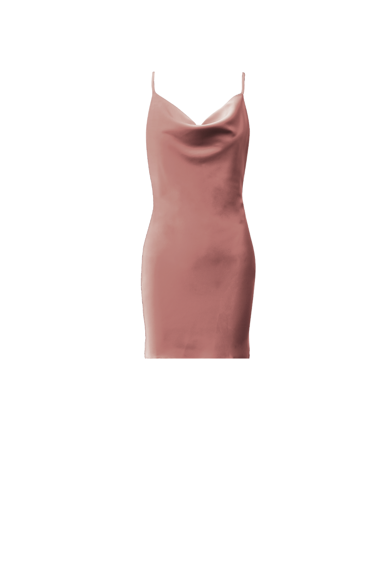 PAIGE Mini Dress - Blush