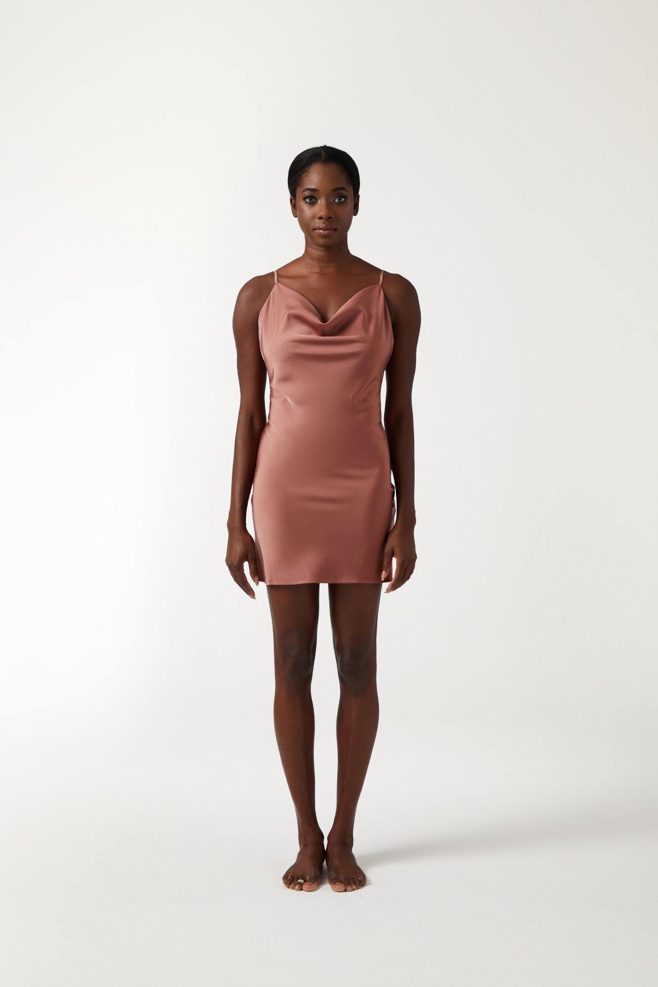 PAIGE Mini Dress - Blush - ANNIBODY